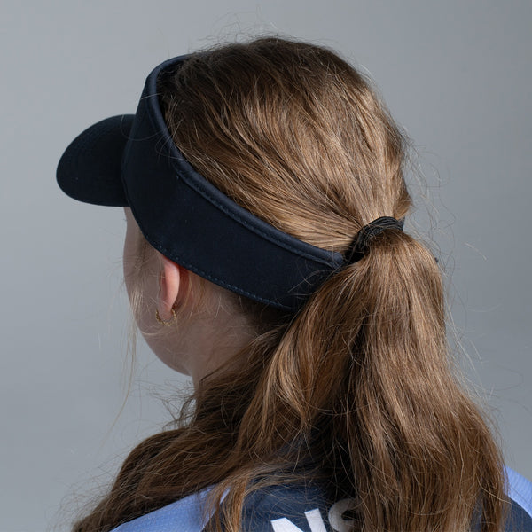 NSW All Schools Visor