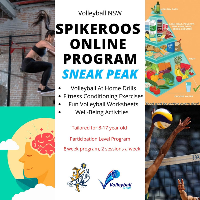 Volleyball NSW Spikeroos 8  Week Online Program